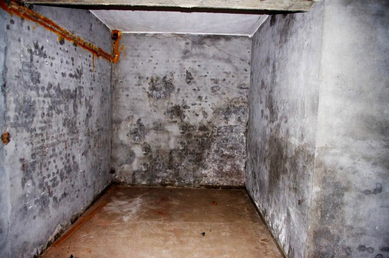 photo_2023-09-23_12-47-50 (1).jpg